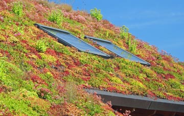 Muirend living roof systems