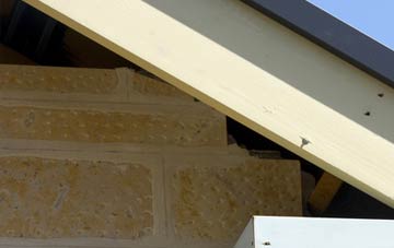 soffit repair Muirend