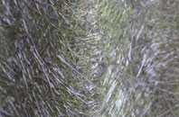 Muirend fibreglass roof work