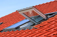 Muirend roof window
